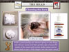 National_Grooming_Presentation-_finished_Page_46
