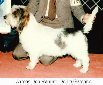 1987 Louisville,KYJudge:William Barton: WD/BOW/BOB: Axmos Don Ranudo De La Garonne 