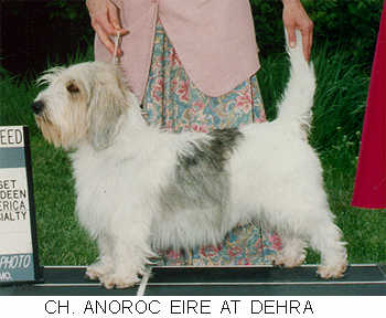 2000 Albuquerque, NM Judge:Anne Gallant: BOB: Ch. Anoroc Eire at Dehra 