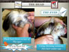 National_Grooming_Presentation-_finished_Page_41