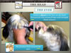 National_Grooming_Presentation-_finished_Page_42