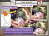 National_Grooming_Presentation-_finished_Page_45
