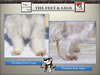 National_Grooming_Presentation-_finished_Page_67