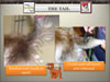 National_Grooming_Presentation-_finished_Page_68