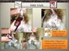 National_Grooming_Presentation-_finished_Page_70