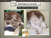 National_Grooming_Presentation-_finished_Page_76