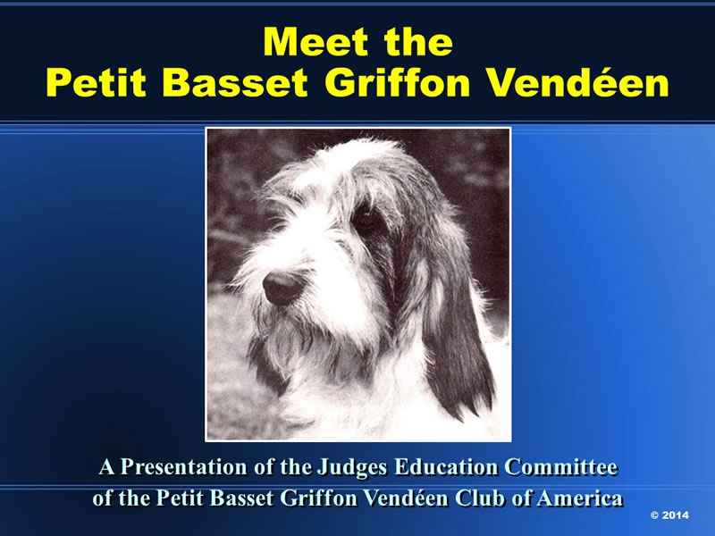 Thank you for your interest in the PBGV. We hope you find this presentation helpful to you as a breeder and as a judge of the breed.