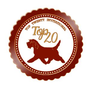 2024 Top 20 Logo
