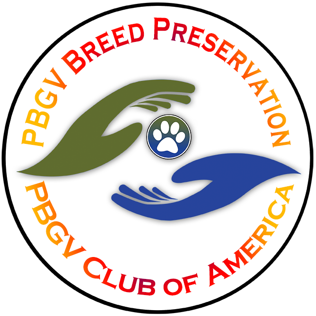 PBGV Breed Preservation